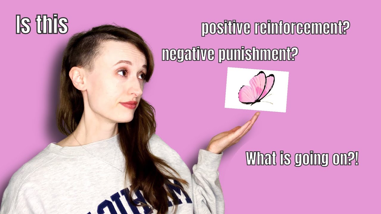 Positive and Negative / Reinforcement and Punishment - With Practice Questions!